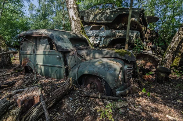 森の中の苔で綺麗な旧車 — ストック写真