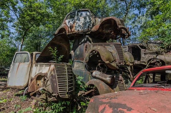 森の中の美しい古い積み上げ車 — ストック写真