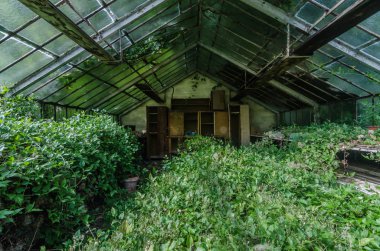 Aşırı büyümüş terk edilmiş cam evin iç görünüm