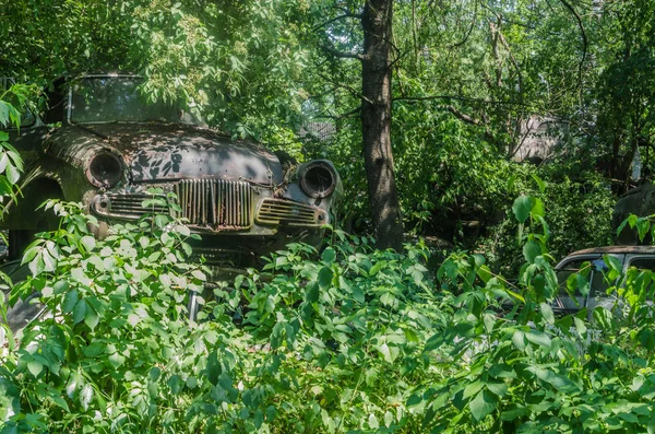 Klasyczny Samochód Lesie Wielu Drzew — Zdjęcie stockowe