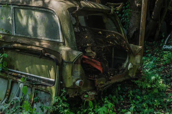 汽车墓地的旧车后视图 — 图库照片