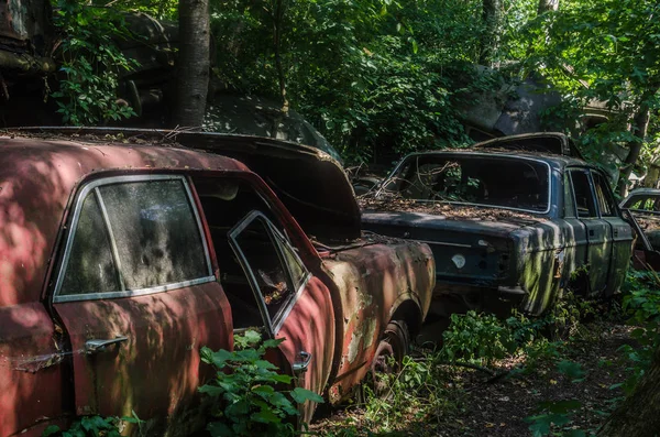 Старый Классический Автомобиль Припаркованный Лесистой Территории — стоковое фото