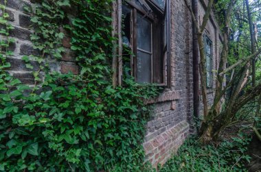 terk edilmiş eski ev tuğla yaptı