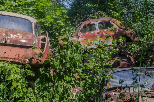 Stare Samochody Cmentarzu Porzucił Samochód — Zdjęcie stockowe