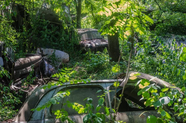 Overgrown Classic Car Terrain — Stock Photo, Image