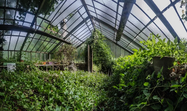 terk edilmiş gaertnerei panorama görünüm