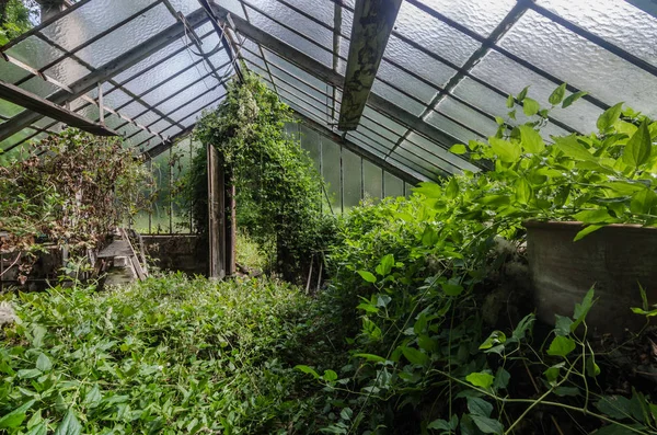 Bahçe ayrıntı görünümü terk