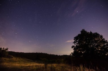 ağaç ve çayır gece yıldızlı gökyüzü