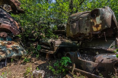 Orman büyümüş bir yerde paslı eski araba