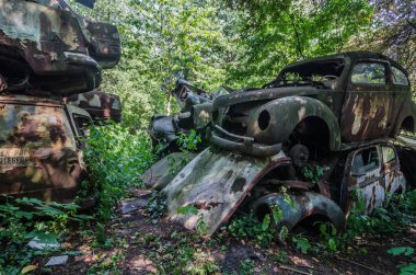 Paslı arabalardan bir orman ve hurdalık