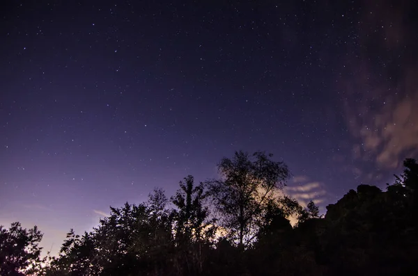 Cielo Estrellado Árboles Con Nubes Noche — Foto de Stock