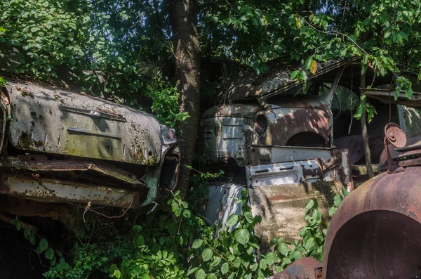 Много Заросших Ржавыми Старыми Машинами Лесу — стоковое фото