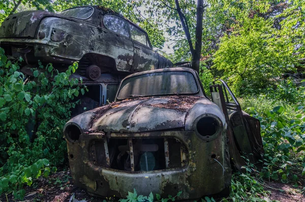 森の中で車墓地さびたの美しい車 — ストック写真