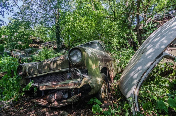 森と車墓地にさびたの美しい車 — ストック写真