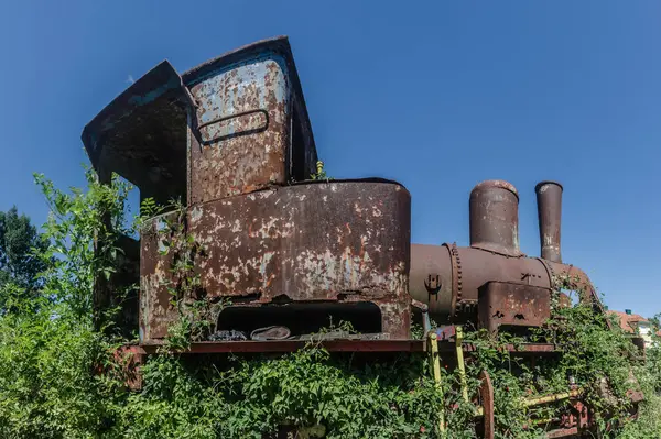Vista Panoramica Sulle Locomotive Vapore Troppo Cresciute — Foto Stock