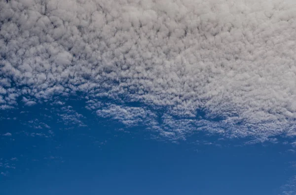 Pequenas Nuvens Densas Céu Verão — Fotografia de Stock