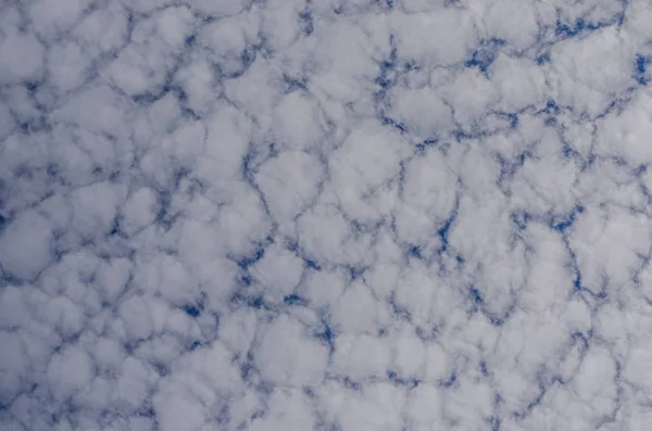 Nubes Vellosas Cierran Juntas Cielo Verano — Foto de Stock