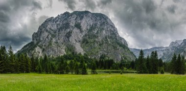 Bataklık dağlar panorama görünümünde