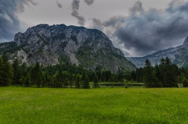 hiking tatil sırasında bir dağ, Marsh yatay