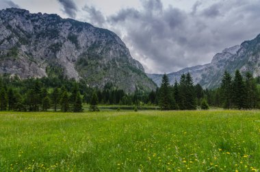 ağaçlar ve dağlar yürüyüş sırasında bataklık
