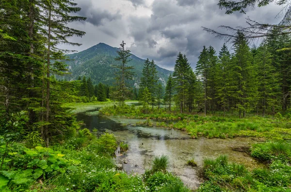 Groene Heuvels Natuur Tijdens Het Wandelen — Stockfoto