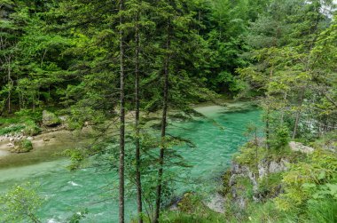 Green river dağlarda yürüyüş sırasında