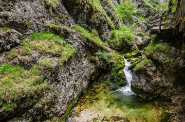 dağlarda nemli bir şelale
