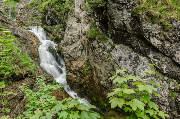 Schmaler Wasserfall Den Bergen Beim Wandern — Stockfoto