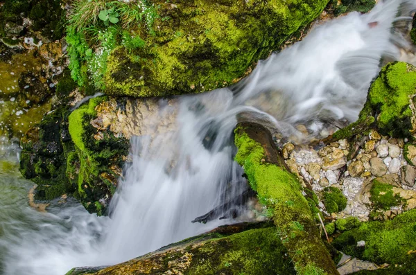 Rápida Cachoeira Detalhe Vista — Fotografia de Stock