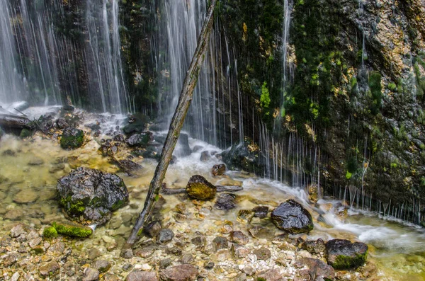 Tronco Árvore Rochas Cachoeira Natureza — Fotografia de Stock