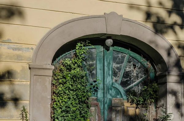 Drzwi Zarośnięte Stare Fabryki — Zdjęcie stockowe