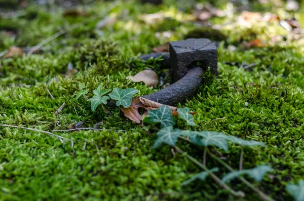 Anel de fixação em uma sepultura com musgo — Fotografia de Stock