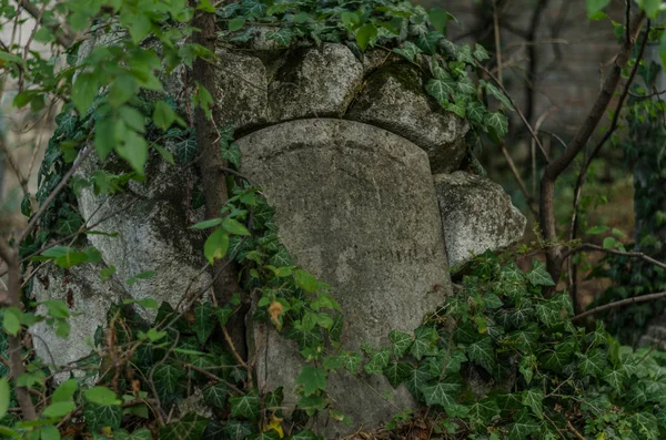 Old fused grave — Stock Photo, Image