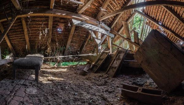 Overgrown attic panorama — Stock Photo, Image