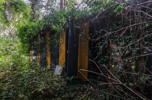 Renkli büyümüş soyunma odaları — Stok fotoğraf