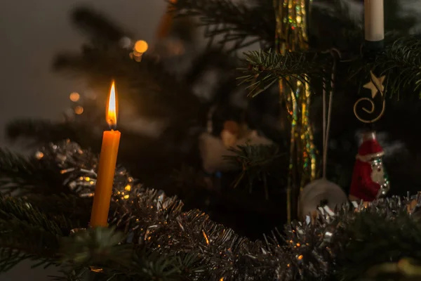 Single burning candle on christmas tree — Stock Photo, Image