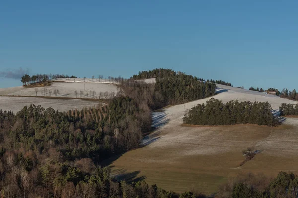 Hory a stromy se sněhovou vrstvou — Stock fotografie