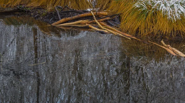 Wasser mit Reflexion im Winter — Stockfoto