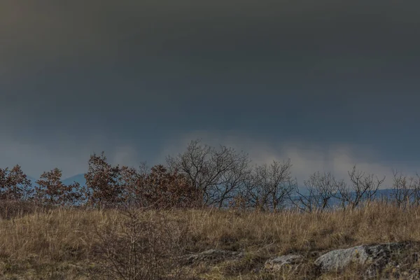 Landschap met struiken en storm wolken — Stockfoto