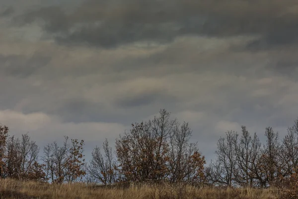 Struiken en regen wolken op het platteland — Stockfoto