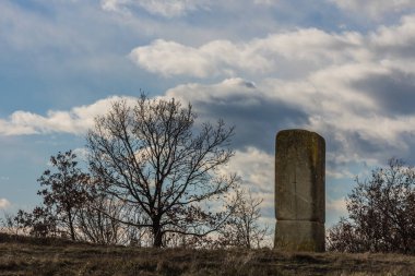 doğada ağaç ile taş heykel