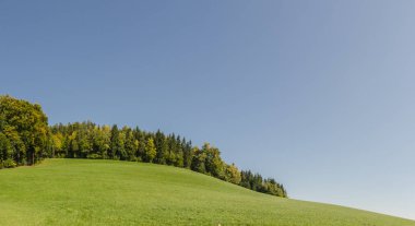 yeşil tepeler ve ağaçlar panorama