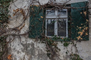 Pencereli aşırı büyümüş cephe