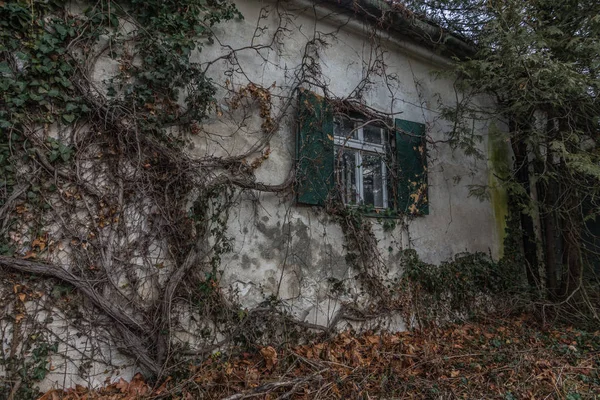 Övervuxen fasad av ett hus — Stockfoto