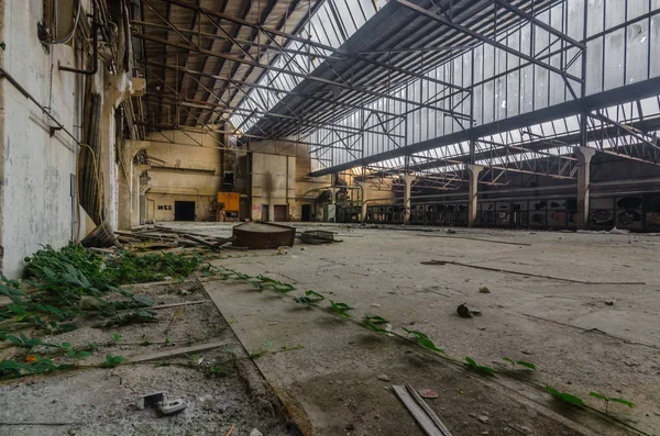 Fabrikgebäude mit grünen Pflanzen — Stockfoto