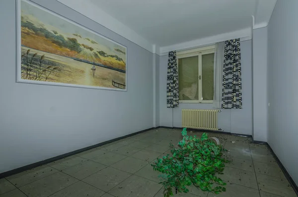 Rum med bild och växter på sjukhus — Stockfoto