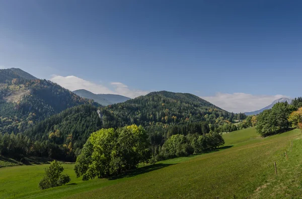 Krásná zelená pastvina s lesem a horami — Stock fotografie