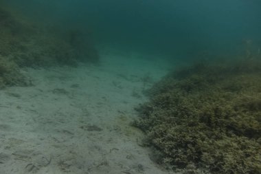 Dalarken temiz su ile gölün dibindeki beyaz kum.