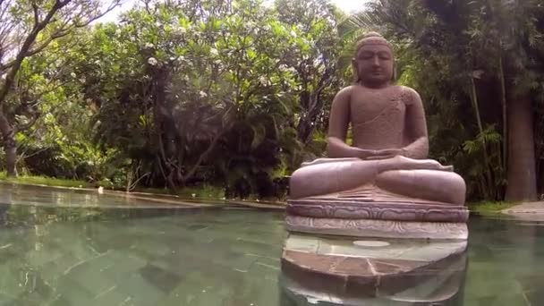 Yaz Tatilinde Bali Havuzda Yüzmek — Stok video