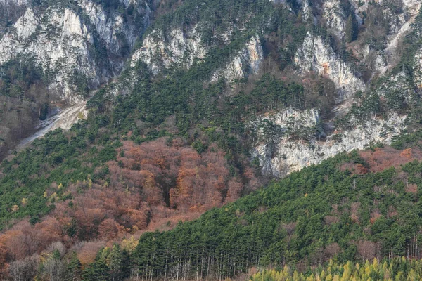 Verschiedene Farben Den Bäumen Auf Den Felsen Den Bergen Beim — Stockfoto